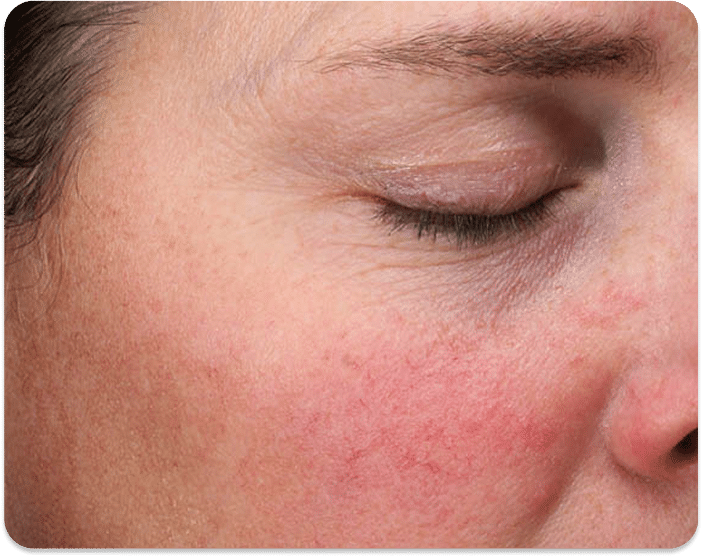 DSC04779 scaled 1 1 LAVIEEN