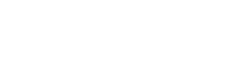 new logo nepuga