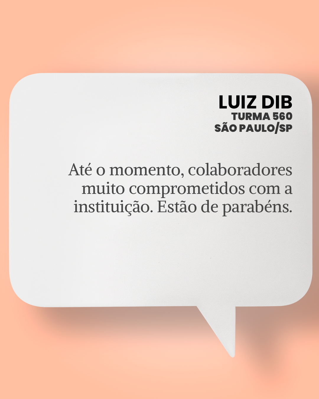 28823 luiz